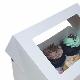 Cupcake Box