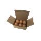 Custom Egg Carton